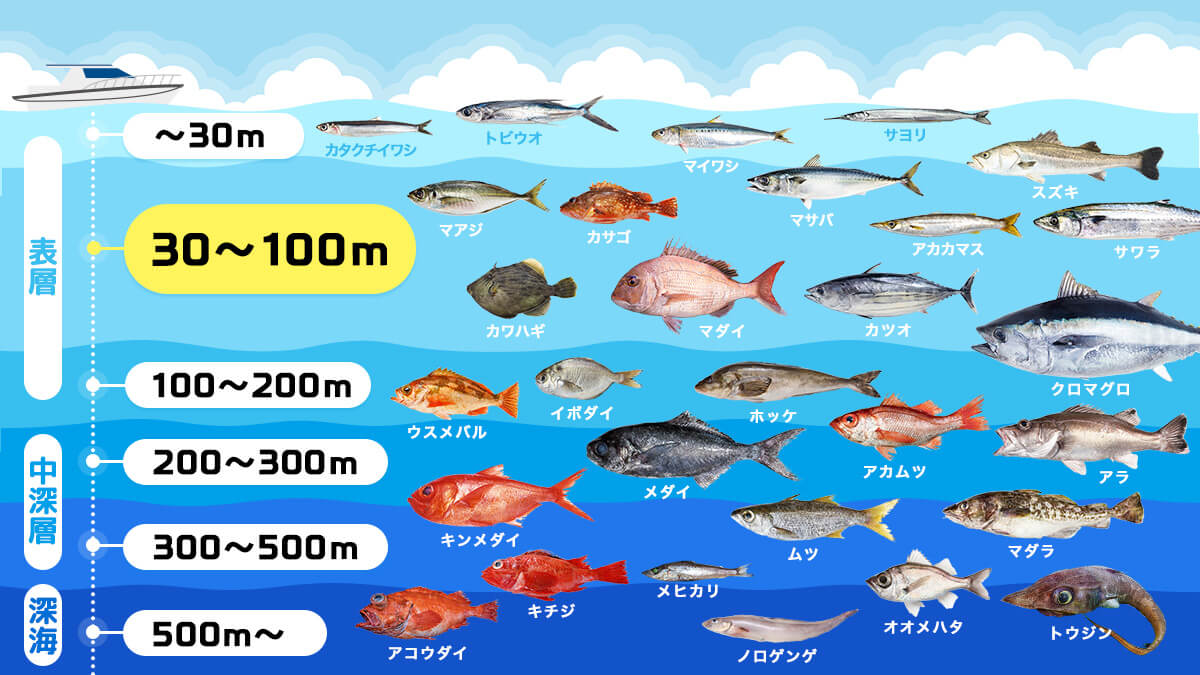 水深別お魚生息MAP〜30〜100m版