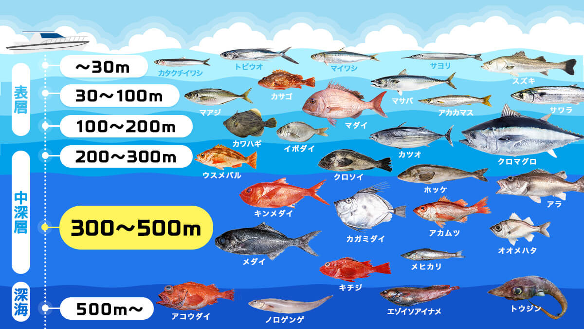 水深別お魚生息MAP〜300〜500m版