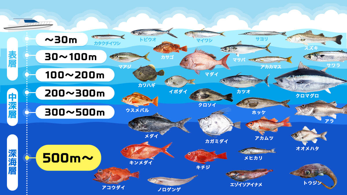 水深別お魚生息MAP〜500m版