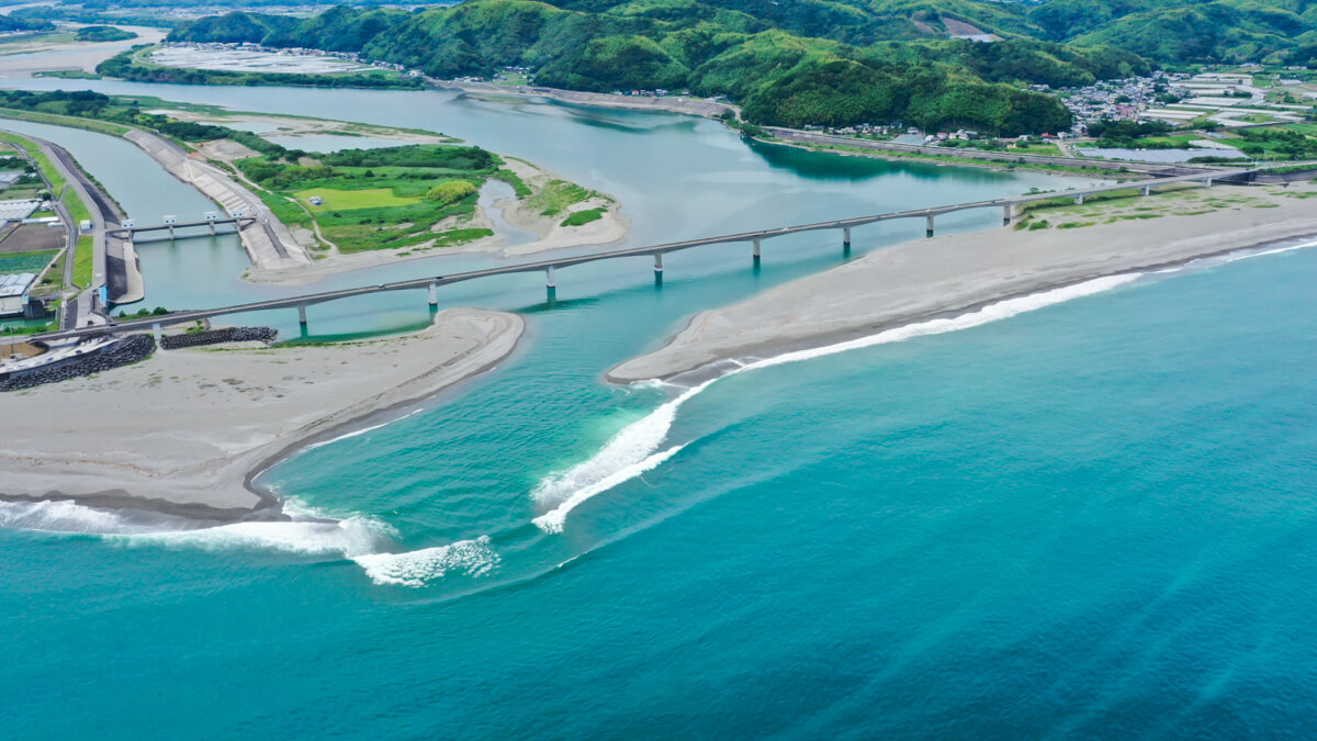 河口・汽水域