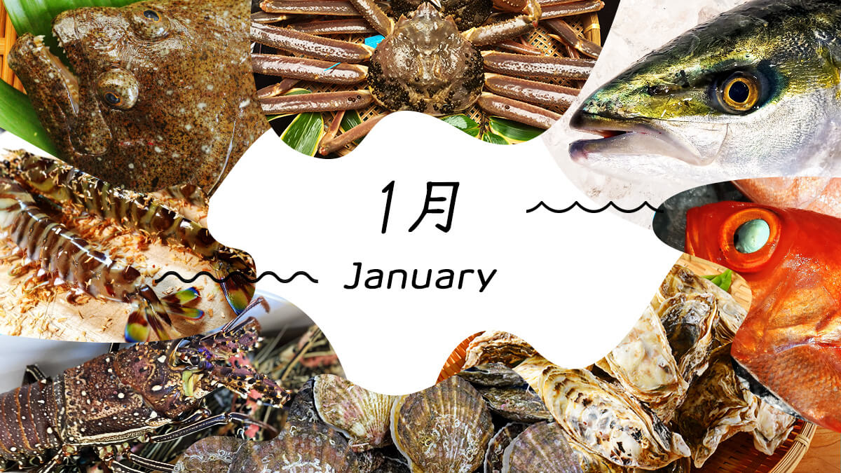 1月 january