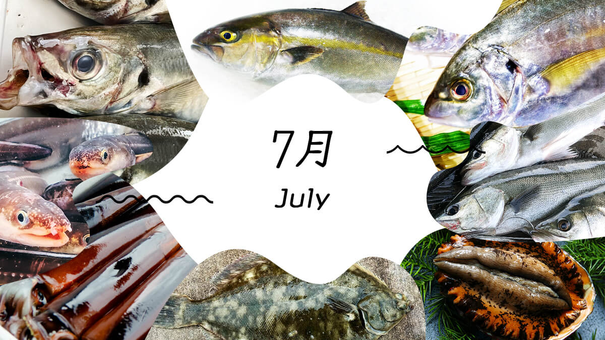 7月 july