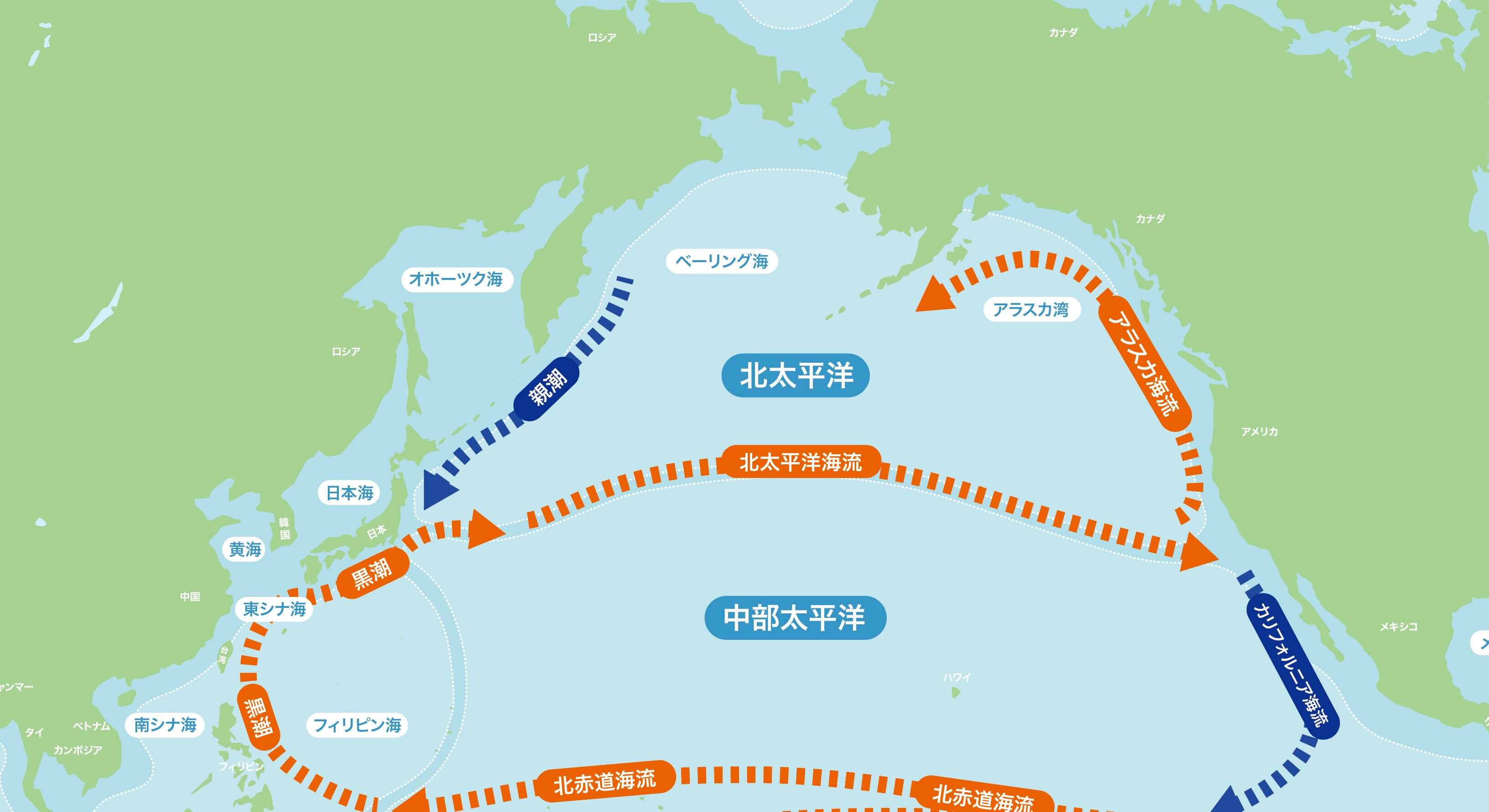 北太平洋の海流