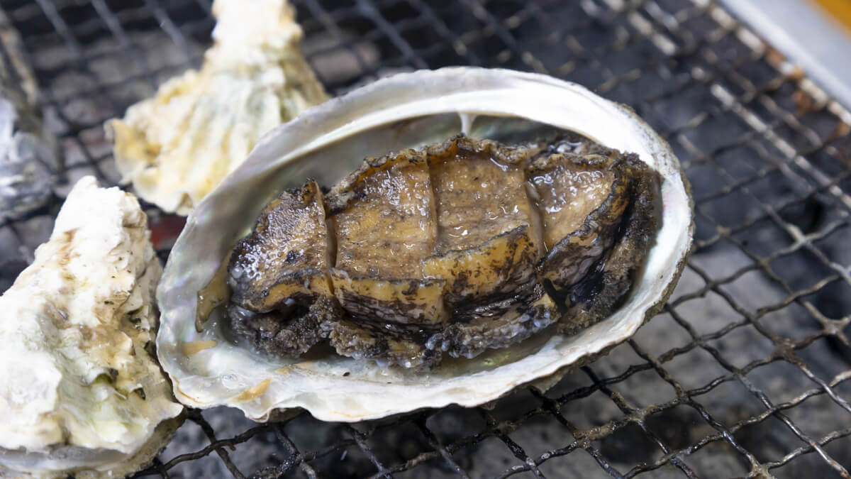 クロアワビの浜焼き