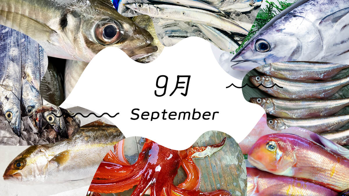 9月-september