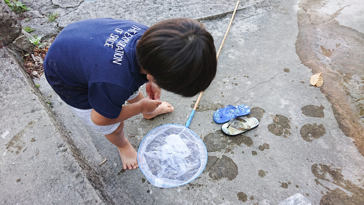 川で海老とりをする子ども