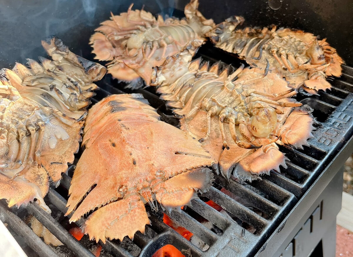 ウチワエビを焼く