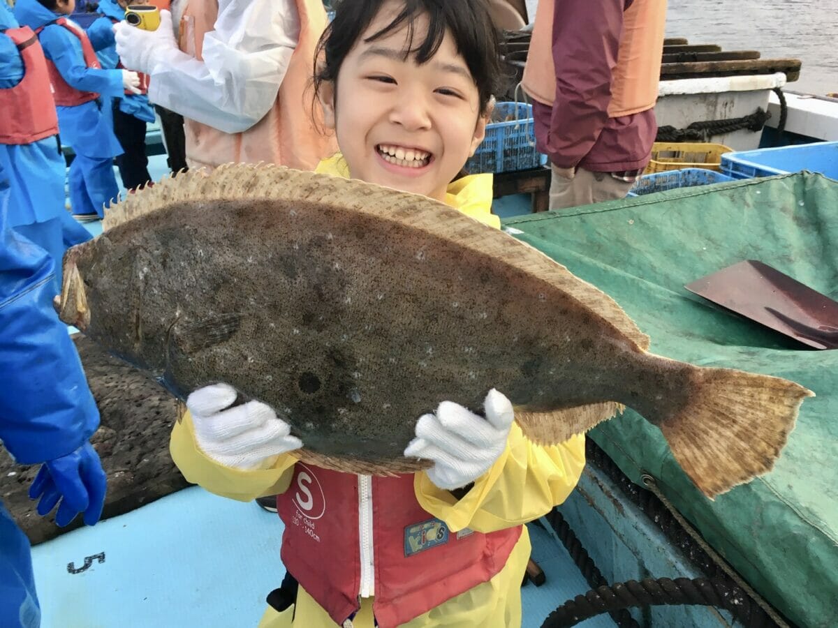 釣り上げたヒラメ